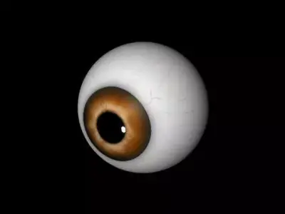 Brown eye Free low-poly 3D model