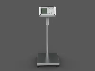 Digital Platform Scale 3D model