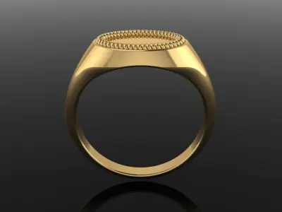 DAINTY SIDE OVAL SIGNET RING ROPE TWIST MIX SIZE 3D print model