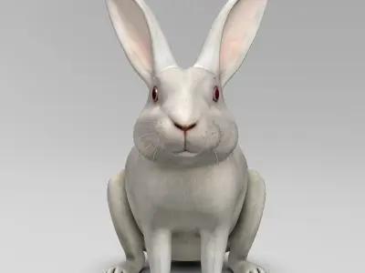Rabbit White 3D model