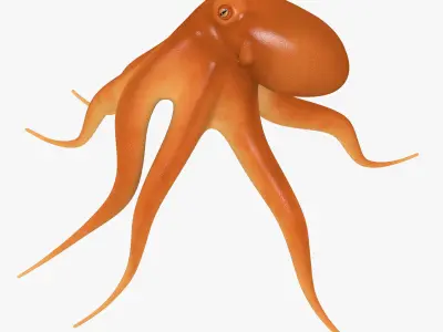 3D CARTOON OCTOPUS Low-poly 3D model