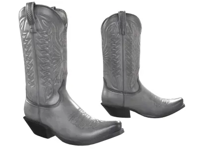 Graphite Western Boots 3D model