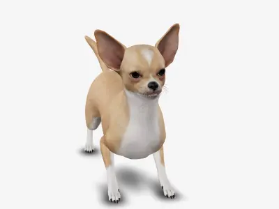 dog chihuahua Low-poly 3D model