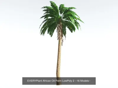 EVERYPlant African Oil Palm LowPoly Bundle --64 Models-- 3D Model Collection