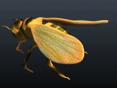 honey bee 3D model buy