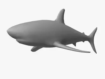 Low Poly Shark Low-poly 3D model purchase