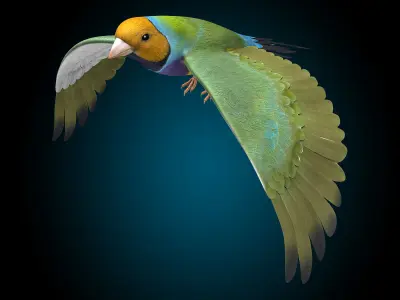 Finch - Flight 3D model