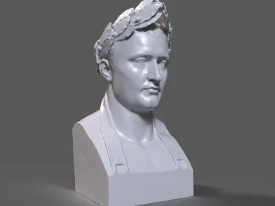 Napoleon Bust 3D print model