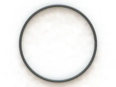 O Ring Vedabras 12843 3D model