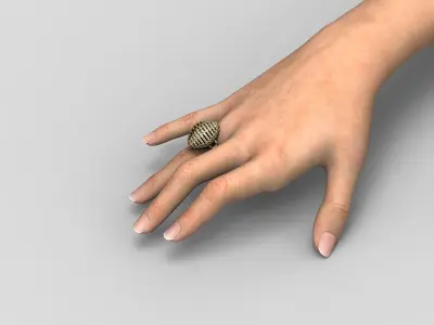R 105 Ring Dome 3D print model