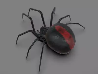 Spider - Read Description Low-poly 3D model buy