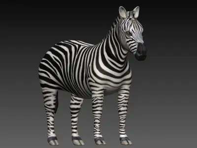 Zebra Low-poly 3D model