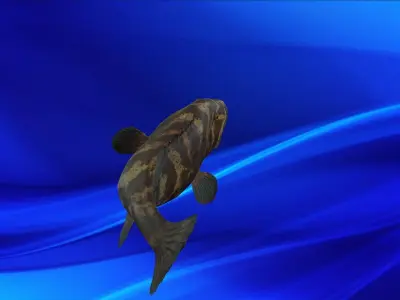 Fish Animation 3d model  Low-poly 3D model