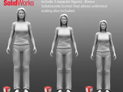 Solidworks CAD Human Female Poseable 3D model