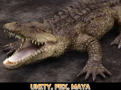 CROCODILE 3D model get