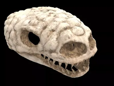 gila monster skull 3D model