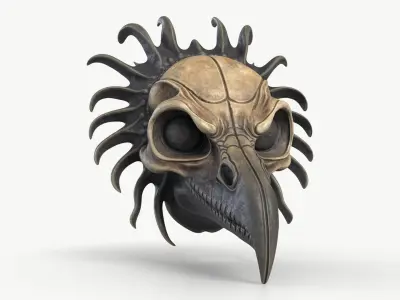 Crow Skull Mask 3D model