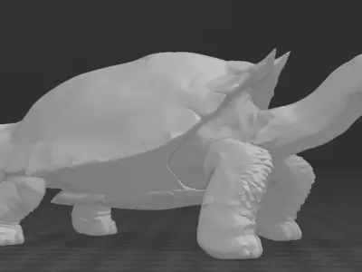 Carbonemys tortoise 3D print model