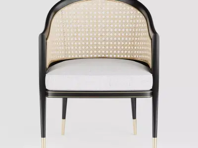 Modern Rattan Chair 3D model