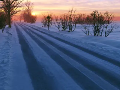  Winter Scene 