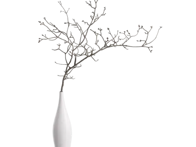  Dried Twigs Vase Model  purchase
