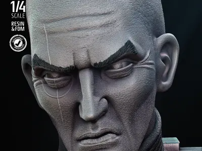 STAR WARS Crosshair Bust Tested for 3D Printing 3D print model