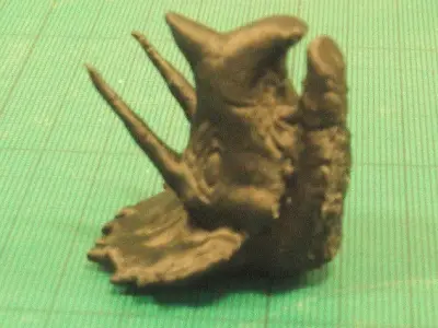 Triceratops head Free 3D model