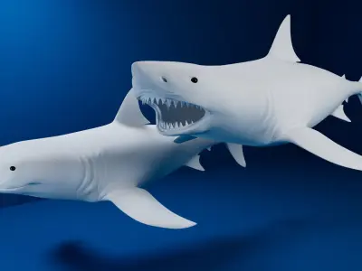 White Shark 3D model