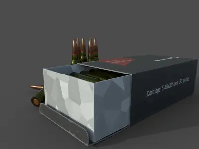 Cartridges and box with them 3D model