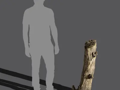  Tall Broken Split Bare Stump Model 