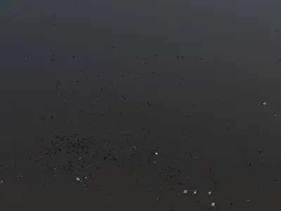 Debris Stone Ground Low-poly 3D model