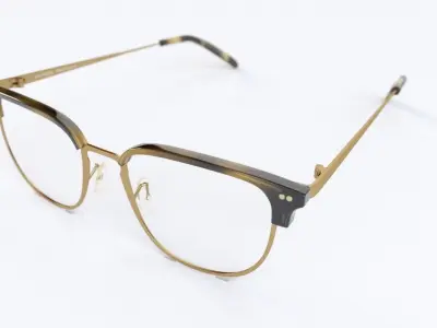 Willman Cocobolo Antique Gold Optical Eyewear by Oliver Peoples 3D model