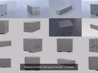 Shipping-Container light gray all versions  3D Model Pack