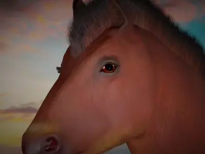 Horse 3D model 5