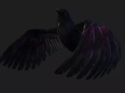 Raven A3 Free low-poly 3D model