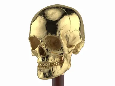 Skull Handle Cane Gold Wood 3D model