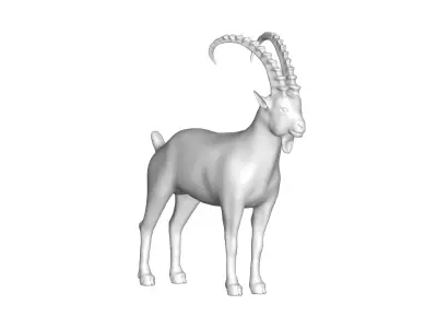 goat  - 3D model