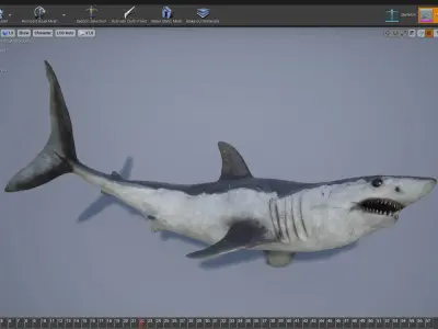 Mako Shark Low-poly 3D model purchase