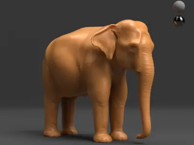 Asian Elephant - BaseMesh 3D model