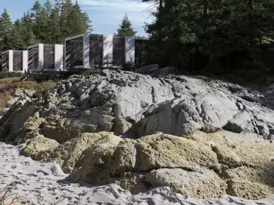  Giant Lichen Covered Beach Rock Model  purchase