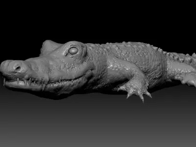 Crocodile two crocodiles 3D model