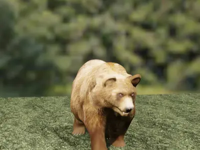 Bear animal 3D model