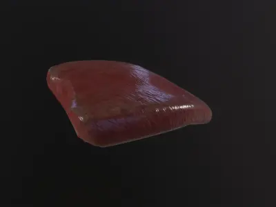 Severed Tongue 3D Model Low-poly 3D model