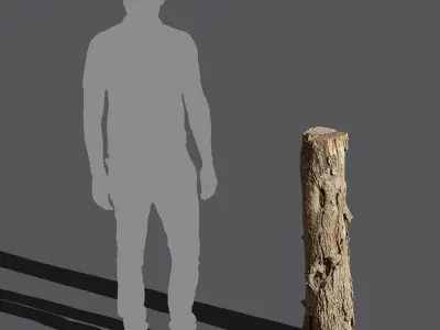  Tall Cut Damaged Deciduous Stump Model 