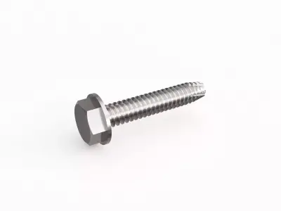 Screw 70 3D model