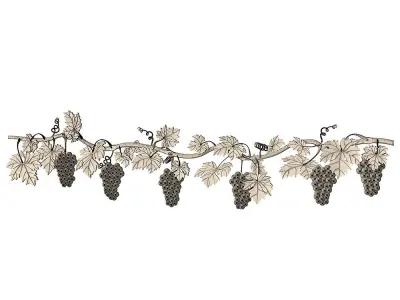 Grape vine with grapes and birds 3D model