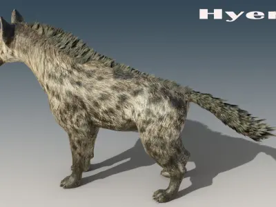 Hyena Rigged Low-poly 3D model