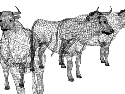 Bull Mesh 3D model