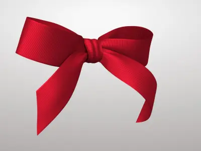 Gift Bow 2v PBR 3D model