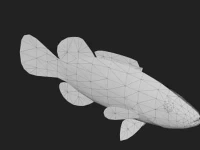 Bass fish Low-poly 3D model 7